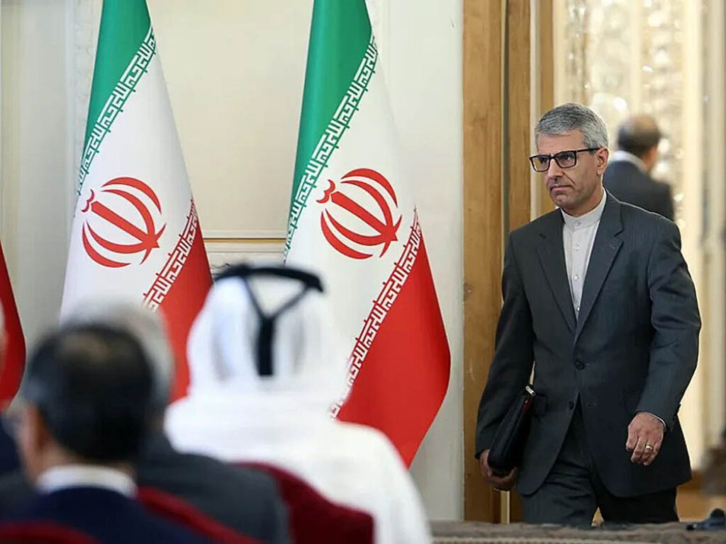 Ismail Bagae, portavoz del Ministerio iraní de Exteriores. Foto: Abedin Taherkenareh
