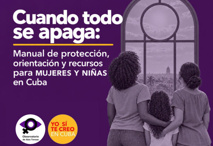 ilustración para manual "cuando todo se apaga"